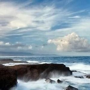 Meet your Posher, Joyce